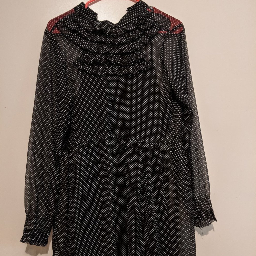 Tiny polka dot sheer dress